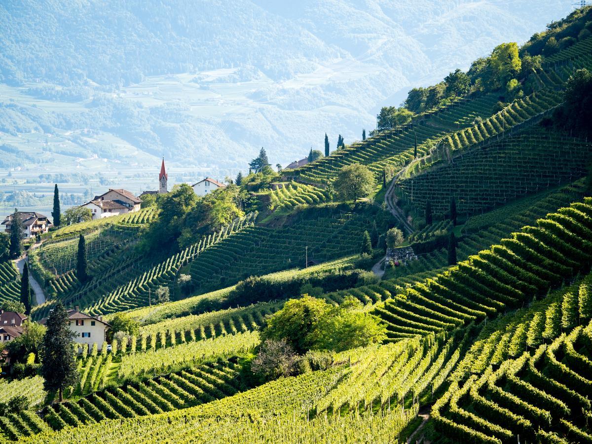 Hotel Plattenhof Tramin an der Weinstraße Buitenkant foto